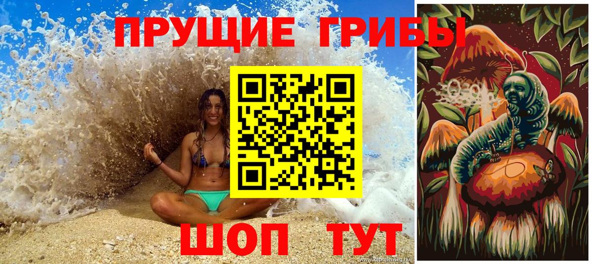 Псилоцибиновые грибы Psilocybine cubensis Арзамас